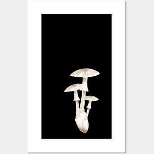 Mushroom Master Toadtools Posters and Art